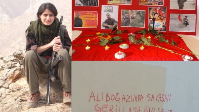 alibogazi_uzerine