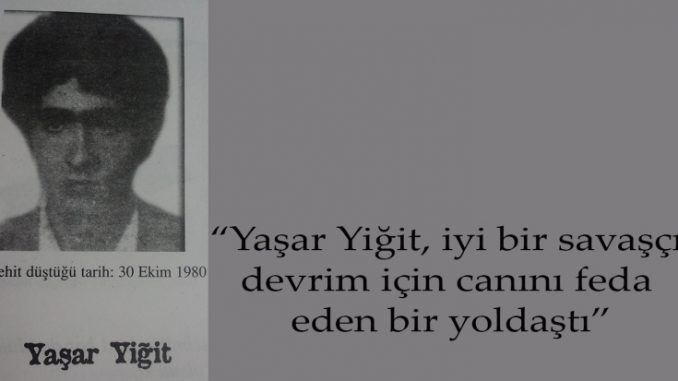 yasar yigit