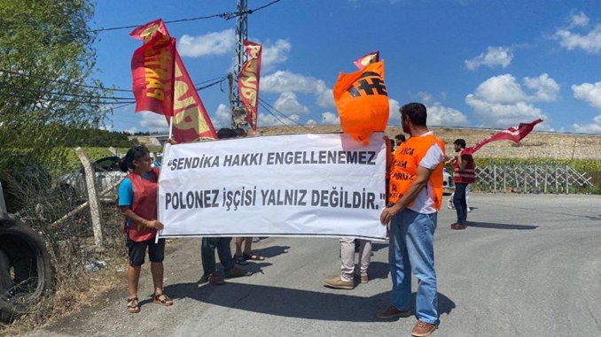 Polonez Ziyaret