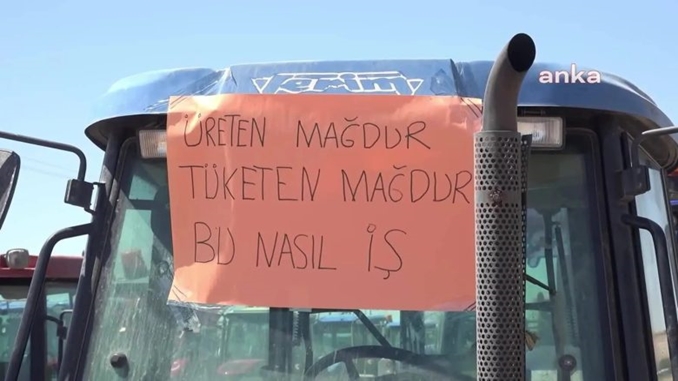 -koylu-